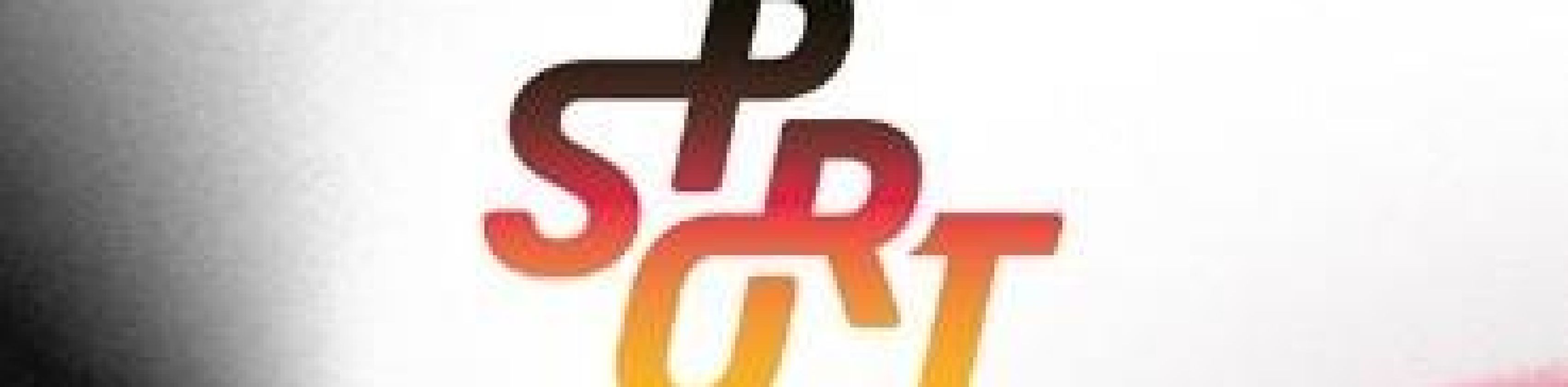 Logo: Deutschen Olympischen Sportbund (DOSB)