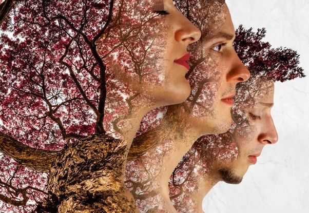 Heirs to the Wild - Poetic Indie